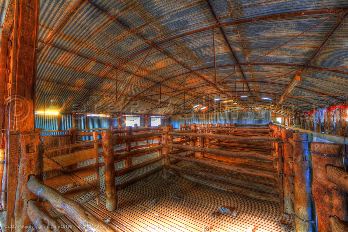 Peter Bellingham Photography Bucklow Station - Woolshed - NSW SQ (PB5D 00 2646)